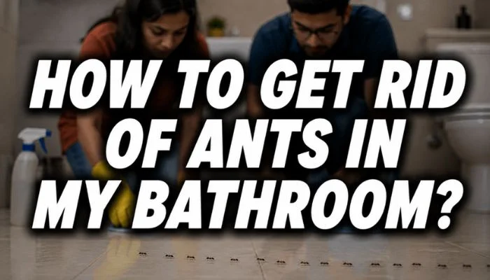how to get rid of ants in my bathroom feature image with a couple cleaning the bathroom floor and a visible ant trail