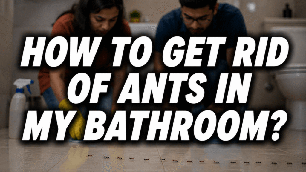 how to get rid of ants in my bathroom feature image with a couple cleaning the bathroom floor and a visible ant trail