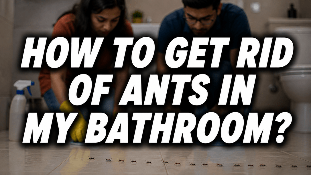 how to get rid of ants in my bathroom feature image with a couple cleaning the bathroom floor and a visible ant trail