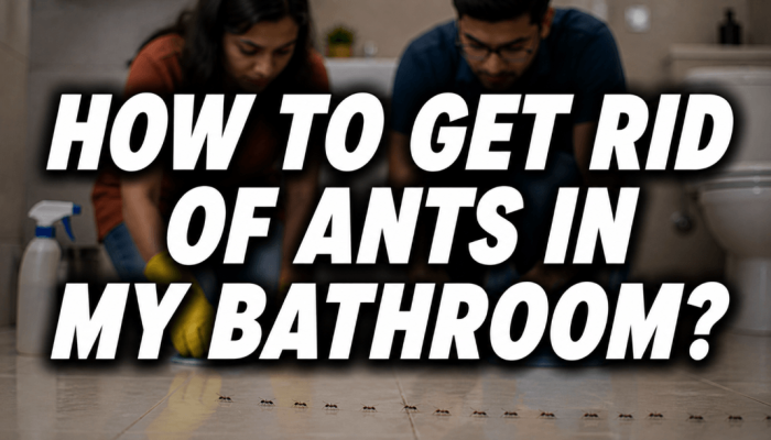 how to get rid of ants in my bathroom feature image with a couple cleaning the bathroom floor and a visible ant trail